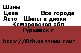 Шины bridgestone potenza s 2 › Цена ­ 3 000 - Все города Авто » Шины и диски   . Кемеровская обл.,Гурьевск г.